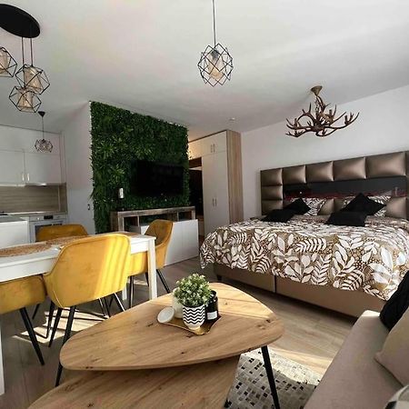 Cosy Appartement Green Life 班斯科 外观 照片