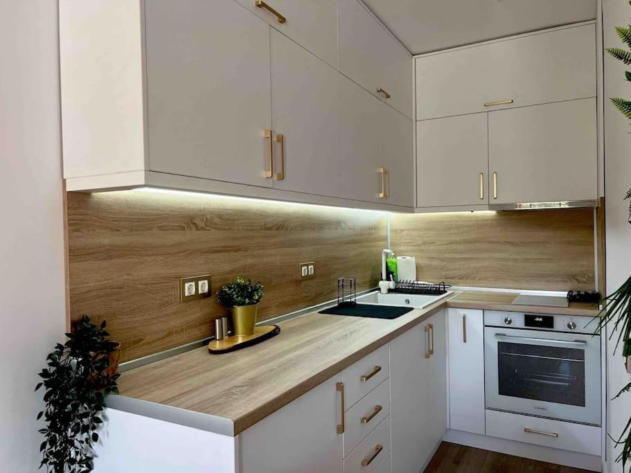 Cosy Appartement Green Life 班斯科 外观 照片