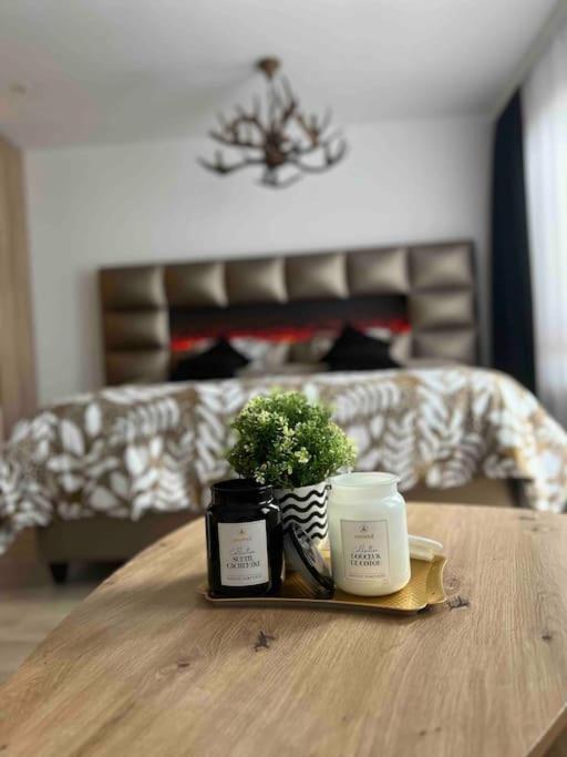 Cosy Appartement Green Life 班斯科 外观 照片