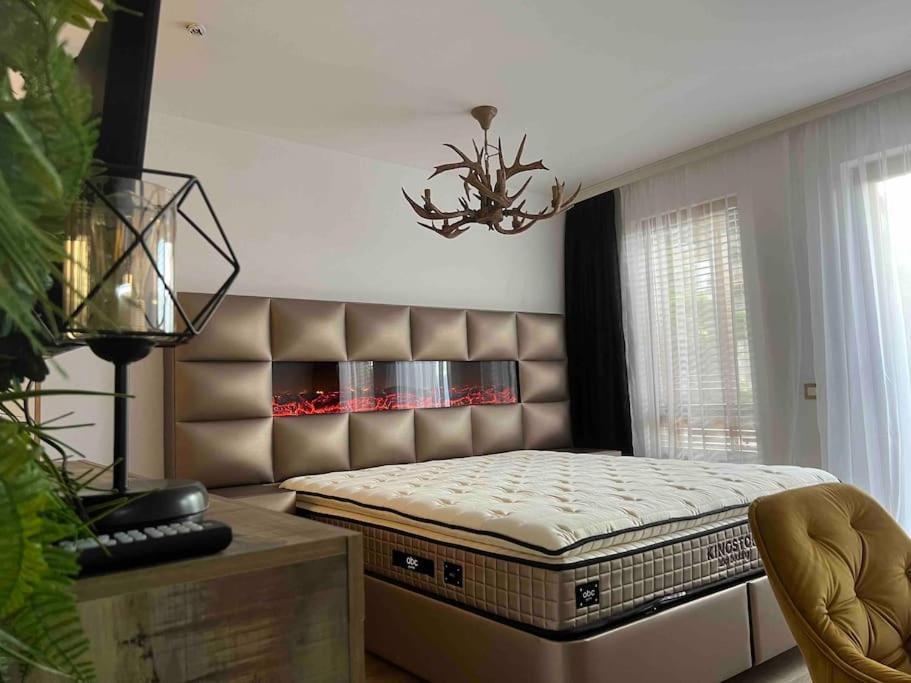 Cosy Appartement Green Life 班斯科 外观 照片