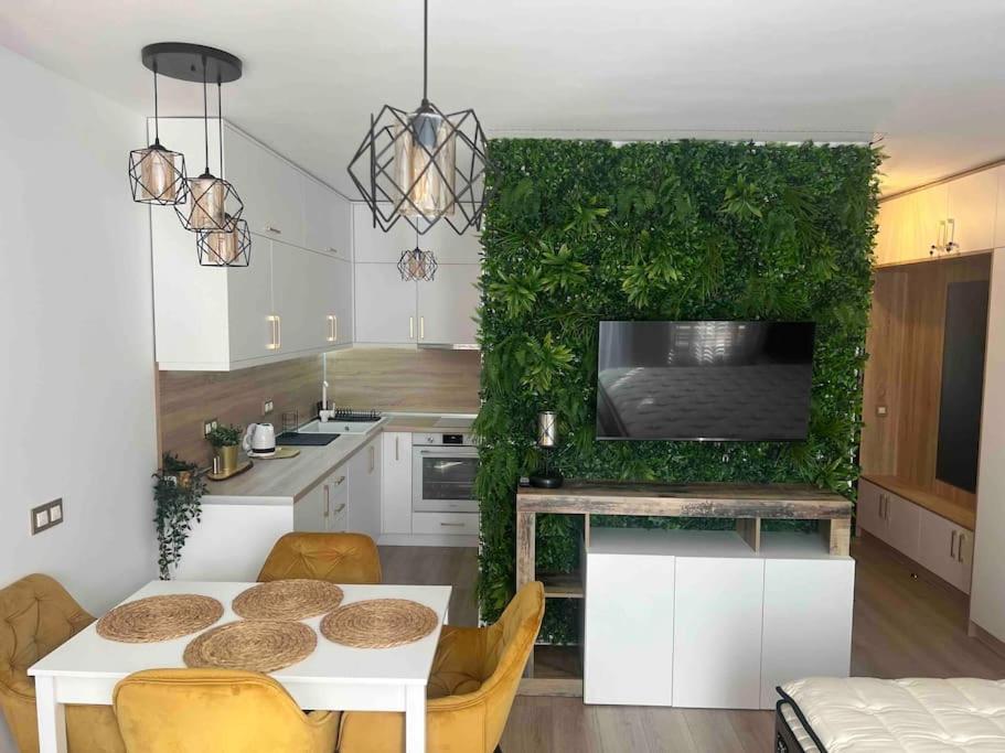 Cosy Appartement Green Life 班斯科 外观 照片