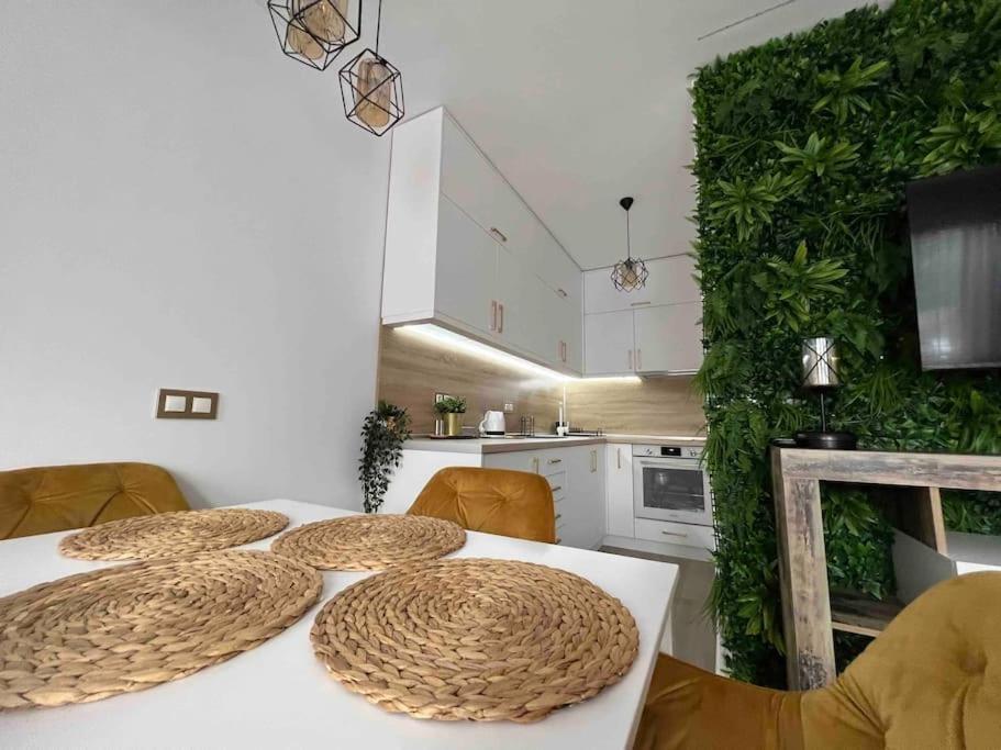 Cosy Appartement Green Life 班斯科 外观 照片